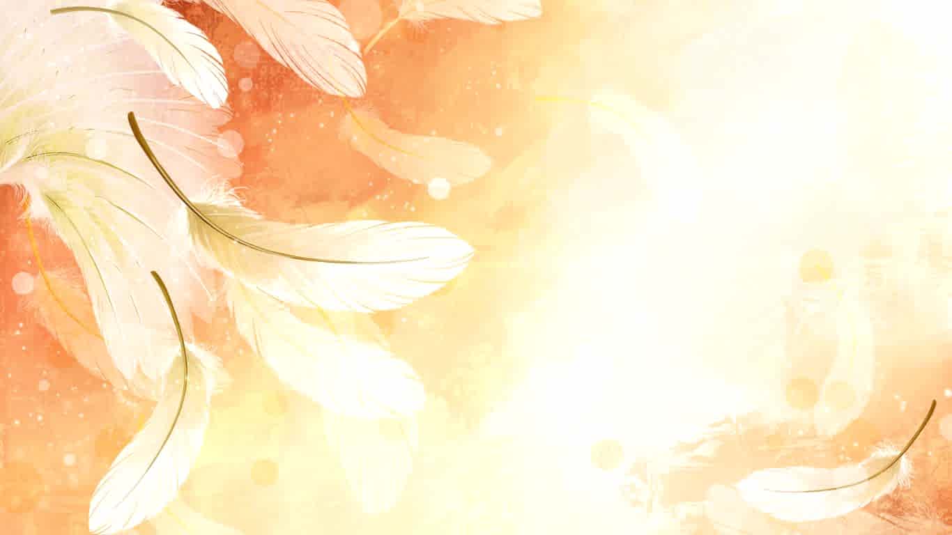 Ümraniye Zebra Stor Perde